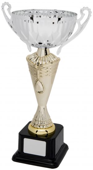 F464-113 CUP AWARD