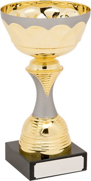 H843-104 Gold/Matt Silver Trophy