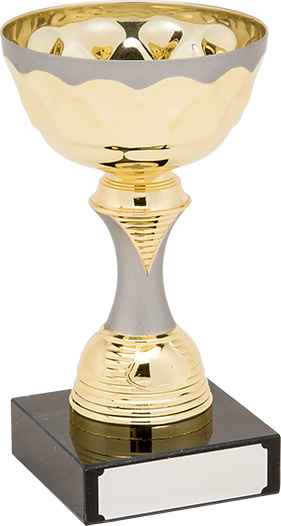 H845-104 Gold/Matt Silver Trophy