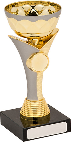 H865-104 Gold / Matt Silver Trophy